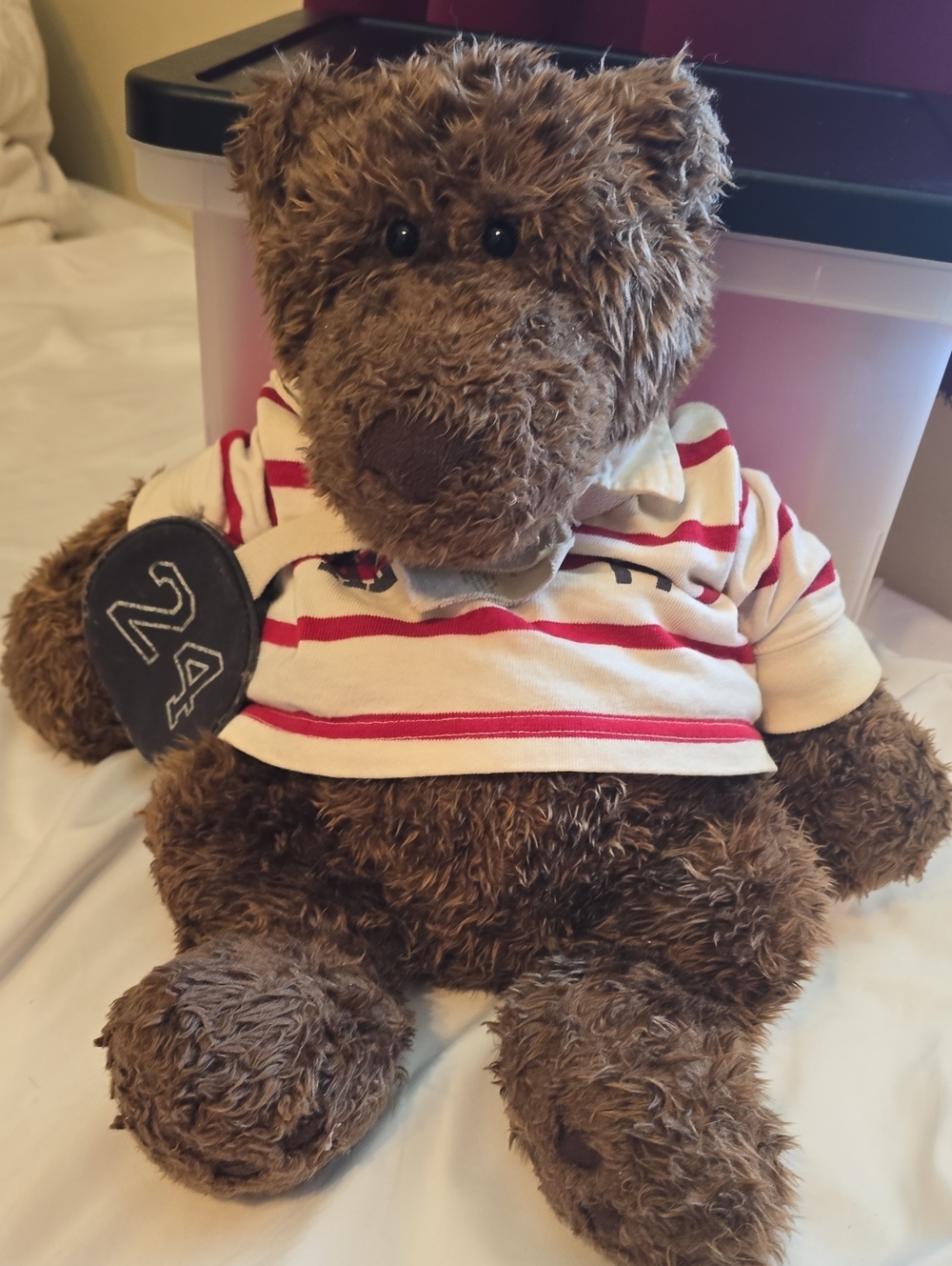 American Eagle Outfitters Brown Plush Bear with Red-Striped Shirt
